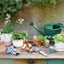 Gardening Official Shop -Gardening Official Shop unnamed file 10