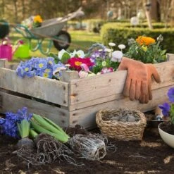 Nature Spring Rolling Garden Seat With Wheels - Black/Green -Gardening Official Shop unnamed file 1062