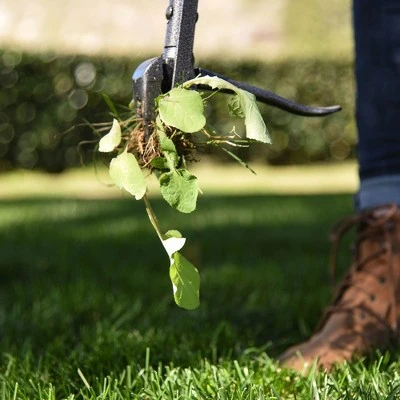 Yard Butler IRKT-1000 Rocket Weeder Long Handled Dandelion Weed Remover Tool 1 Yard Butler IRKT-1000 Rocket Weeder Long Handled Dandelion Weed Remover Tool