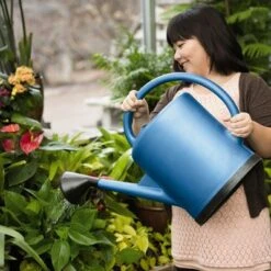 French Blue Watering Can, 3 Gallon Indoor Outdoor Watering Can with Removable Stainless Steel Faceplate Rose Attachment - Gardener's Supply Company -Gardening Official Shop unnamed file 208