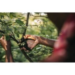 Fiskars P721 Bypass Power Lever Pruner