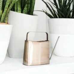 Modern Sprout Watering Can, Long Spout for Indoor/Outdoor Use, Brass, 3 Liters -Gardening Official Shop unnamed file 373