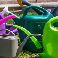 Union Products 63065 Indoor Outdoor 2 Gallon Plastic Plant Watering Can w/ Tulip Design and 2 Handles for Garden, Potted Plants, and Patio Pots, Green 7 Union Products 63065 Indoor Outdoor 2 Gallon Plastic Plant Watering Can w/ Tulip Design and 2 Handles for Garden, Potted Plants, and Patio Pots, Green -Gardening Official Shop unnamed file 420