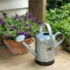 Park Hill Collection Petite Potager Metal Watering Can -Gardening Official Shop unnamed file 514