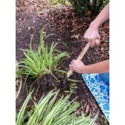 Gardener’s Lifetime Perennial Planter with Short T-Handle - Gardener's Supply Company 5 Gardener’s Lifetime Perennial Planter with Short T-Handle - Gardener's Supply Company -Gardening Official Shop unnamed file 520