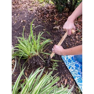 Gardener’s Lifetime Perennial Planter with Short T-Handle - Gardener's Supply Company 3 Gardener’s Lifetime Perennial Planter with Short T-Handle - Gardener's Supply Company - Image 3