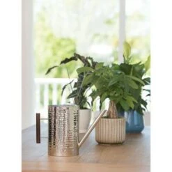 Gardener's Supply Company Stainless Steel Watering Can - GARDENER'S SUPPLY CO. -Gardening Official Shop unnamed file 523