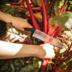 Fiskars Hori Hori Resin Hand Weeder Black -Gardening Official Shop unnamed file 545