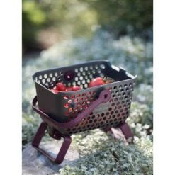 Multipurpose Garden Basket, Mini Mod Hod For Collecting, Carrying, and Cleaning - Gardener's Supply Company -Gardening Official Shop unnamed file 549