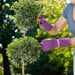 Dig It Handwear Purple High 5 Women's Long Cuff Fingertip Protector Gardening and Utility Gloves - Large -Gardening Official Shop unnamed file 561