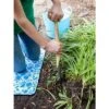 Gardener’s Lifetime Perennial Fork with Short T-Handle - Gardener's Supply Company -Gardening Official Shop unnamed file 573