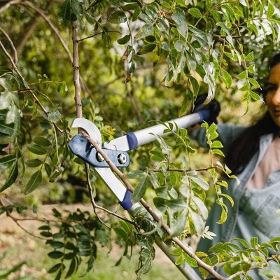 Blue Ridge Tools Blue Ridge Tree Lopper 2 Blue Ridge Tools Blue Ridge Tree Lopper - Image 2