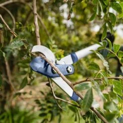 Blue Ridge Tools Blue Ridge Tree Lopper 5 Blue Ridge Tools Blue Ridge Tree Lopper -Gardening Official Shop unnamed file 653