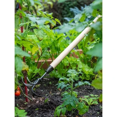 Gardeners Lifetime Long-Handled Double Tool - De Wit 1 Gardeners Lifetime Long-Handled Double Tool - De Wit