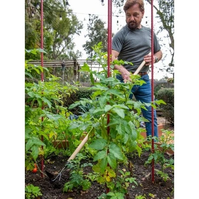 Gardeners Lifetime Long-Handled Double Tool - De Wit 2 Gardeners Lifetime Long-Handled Double Tool - De Wit - Image 2