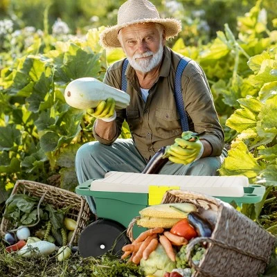 Nature Spring Garden Storage Wagon Cart with Seat and Removable Tool Tray - Green, Black, Gray 3 Nature Spring Garden Storage Wagon Cart with Seat and Removable Tool Tray - Green, Black, Gray - Image 3